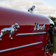 Illustration for article titled Here Are Some Of The Incredible Cars Of The Bear Mountain Car Cruise